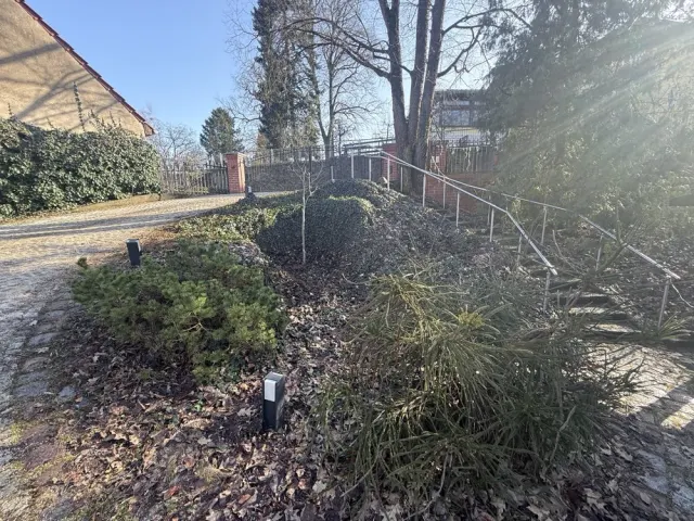 Verwilderte, überwucherte Beetfläche vor einer Gartenpflege
